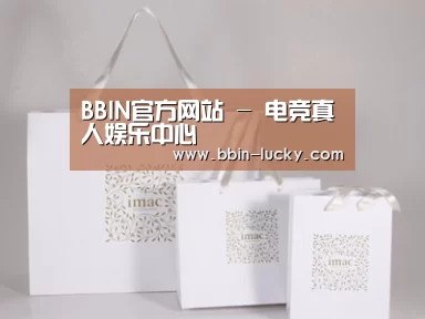 项目名称十一