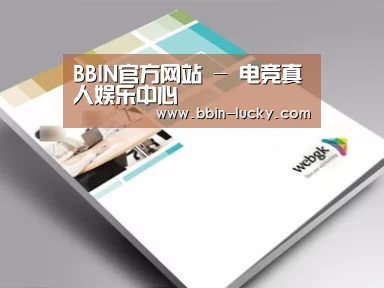 项目名称九