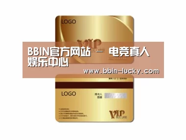 项目名称三