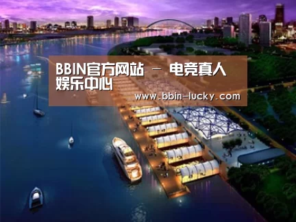 案例展示八