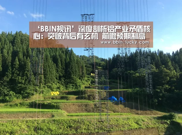 ‘BBIN视讯’深度剖析铝产业矛盾核心:突破背后有玄机 前瞻预期制高点(图3) BBIN百家乐