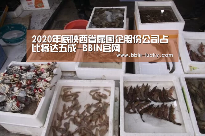 2020年底陕西省属国企股份公司占比将达五成-BBIN官网(图4) BBIN百家乐