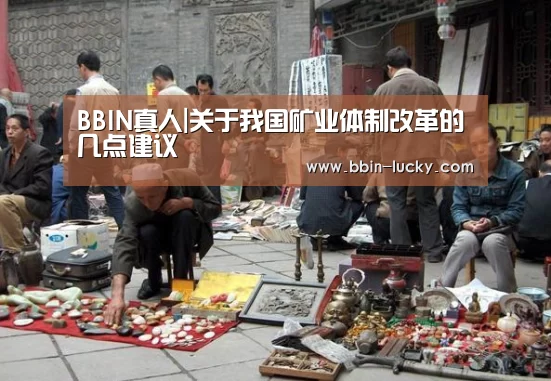 BBIN真人|关于我国矿业体制改革的几点建议(图1) BBIN真人
