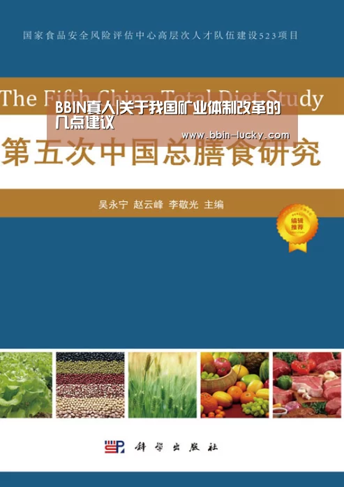 BBIN真人|关于我国矿业体制改革的几点建议(图3) BBIN官网