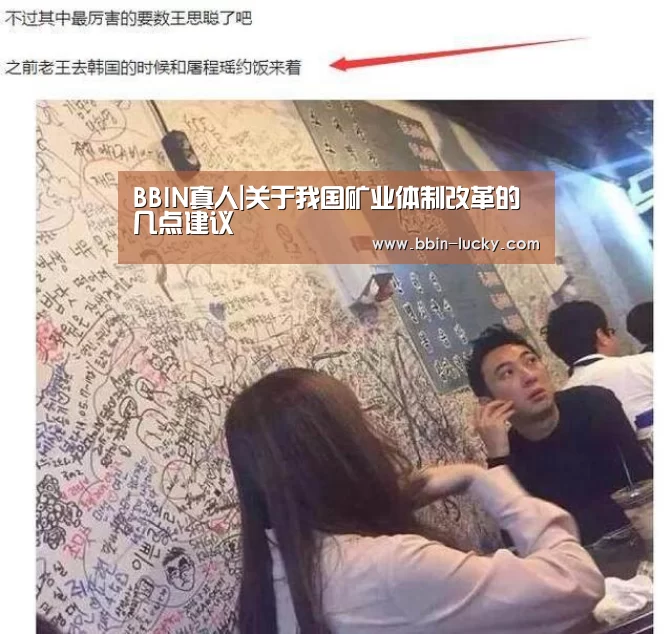 BBIN真人|关于我国矿业体制改革的几点建议(图2) BBIN百家乐