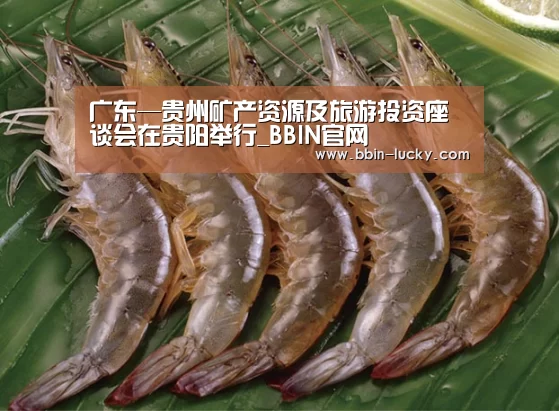 广东—贵州矿产资源及旅游投资座谈会在贵阳举行_BBIN官网(图2) BBIN真人