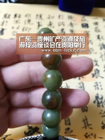 广东—贵州矿产资源及旅游投资座谈会在贵阳举行_BBIN官网(图1) BBIN视讯