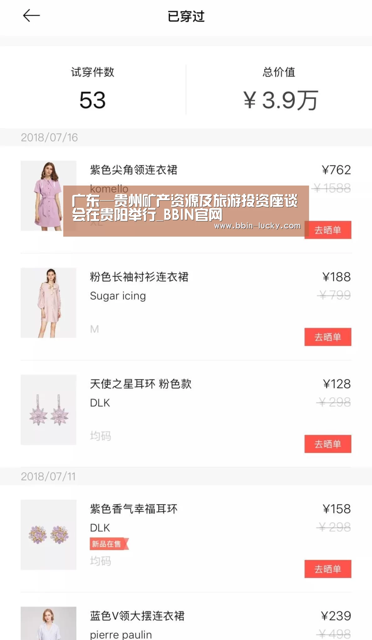 广东—贵州矿产资源及旅游投资座谈会在贵阳举行_BBIN官网(图4) BBIN真人