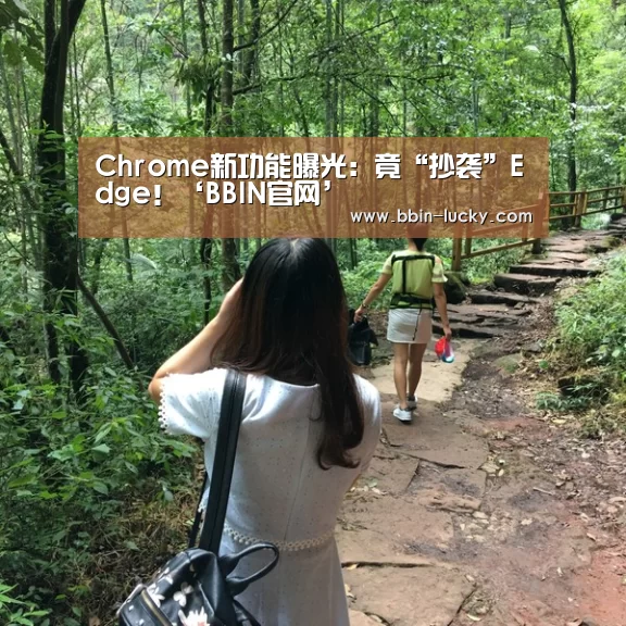 Chrome新功能曝光:竟“抄袭”Edge!‘BBIN官网’(图4) BBIN官网