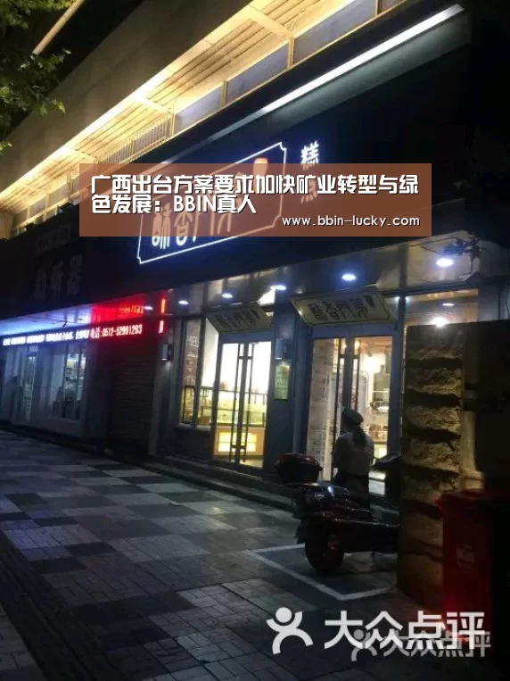 广西出台方案要求加快矿业转型与绿色发展:BBIN真人(图2) BBIN官网