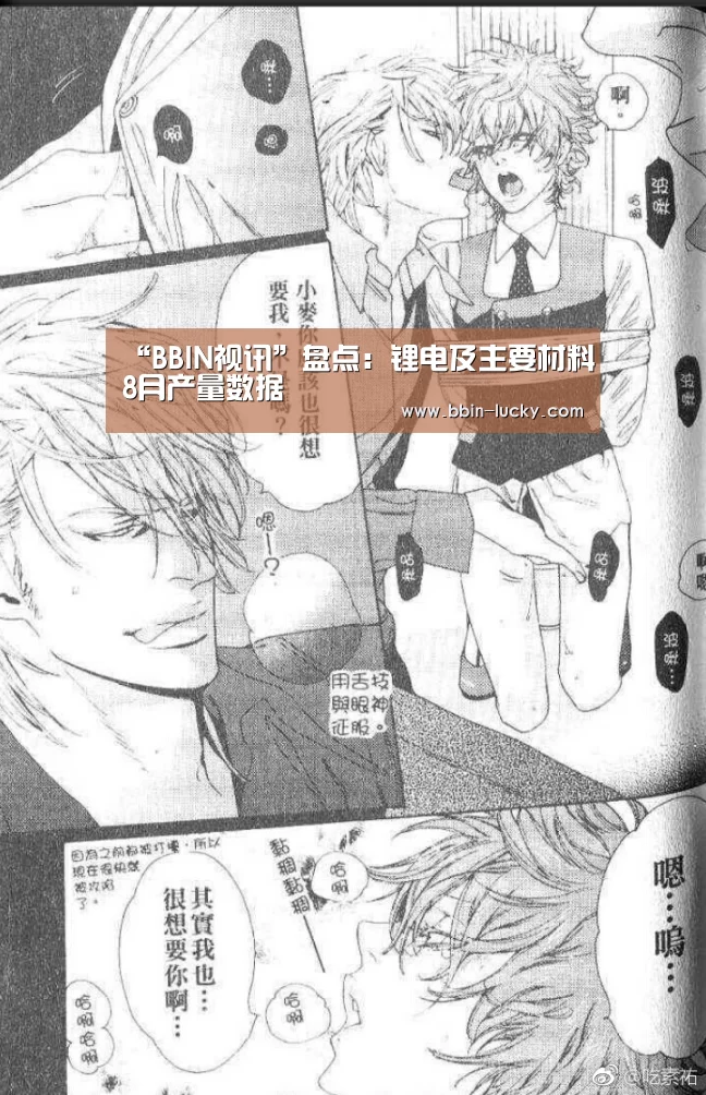 “BBIN视讯”盘点:锂电及主要材料8月产量数据(图3) BBIN真人